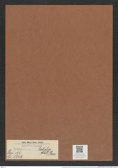 Pseudoeunotia doliolus (Wall.) Grun. (de-Toni-Nr.: Genus 105, Species 3249) Zeichnungen Sammlung Grunow Mappe 03487 (Herbarium_W_Grunow_drawings_Folder_03487)